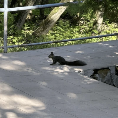 Dánszentmiklósi Mosolygó Alma Óvoda és Mini Bölcsőde